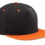 B610C-5-panel-contrast-snapback--5