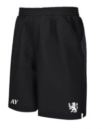 St Davids College Rugby Training Short