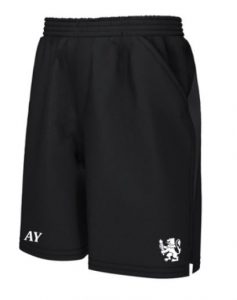 671-st-davids-college-rugby-training-short-main