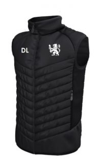 St Davids College Netball Gilet