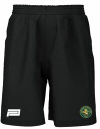 Aldridge CC Training Short Senior