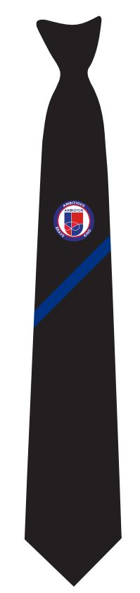 Landau Forte Academy School Tie