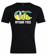 Ysgol Gyfun Y Strade Logo Tee