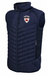 Denbigh Cricket Club Performance Gilet