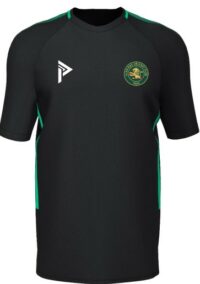 Aldridge CC Training Tee Senior