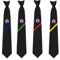 Landau Forte Academy School Tie