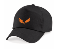 ASL Physical Education Unbranded Cap