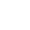 speedo.png